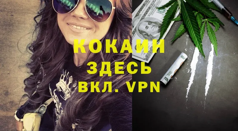 где продают   Алейск  Cocaine Перу 